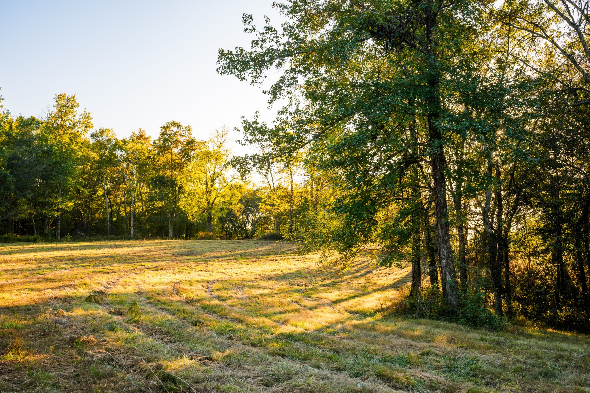3345 Pigeon Roost Road Pulaski, TN 38478 - Photo 45 of 83