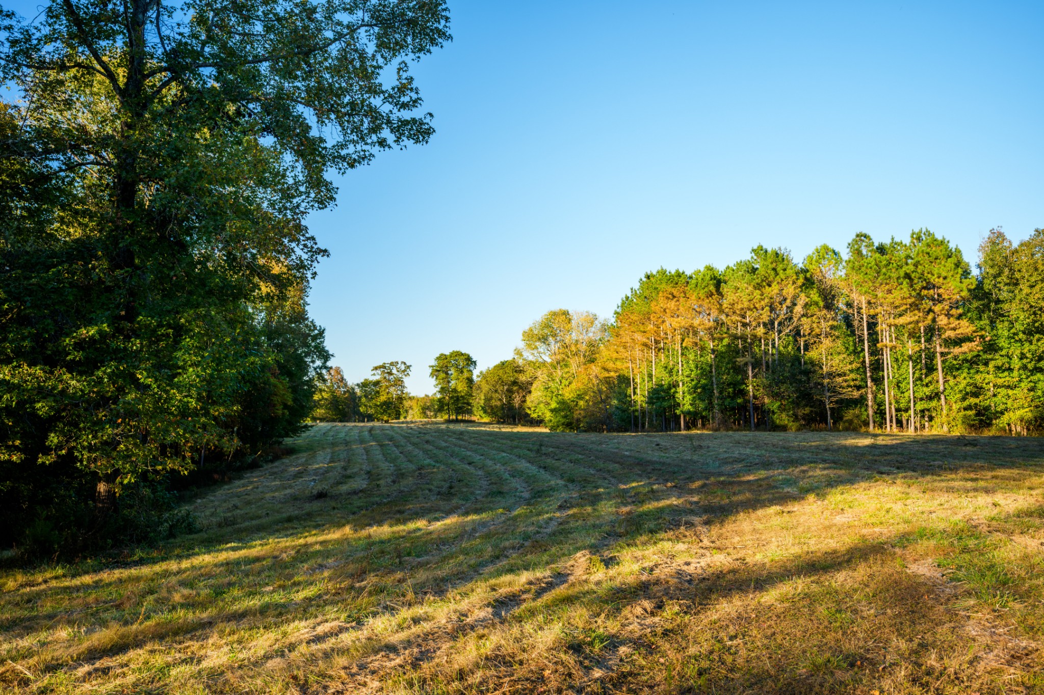 3345 Pigeon Roost Road Pulaski, TN 38478 - Photo 46 of 83