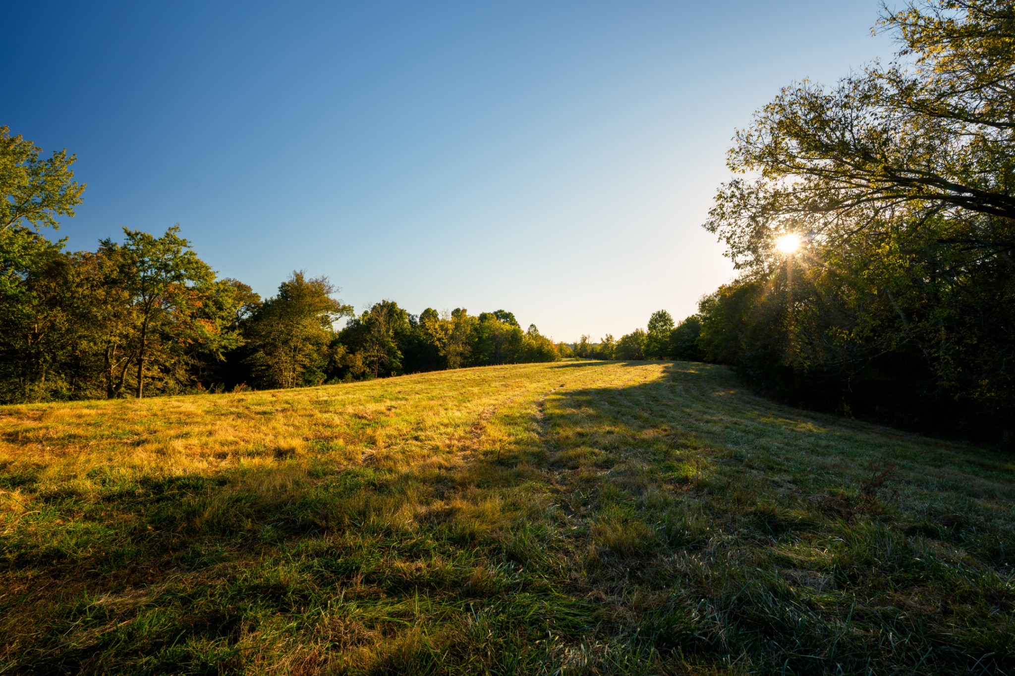 3345 Pigeon Roost Road Pulaski, TN 38478 - Photo 48 of 83 a view of an ocean and beach
