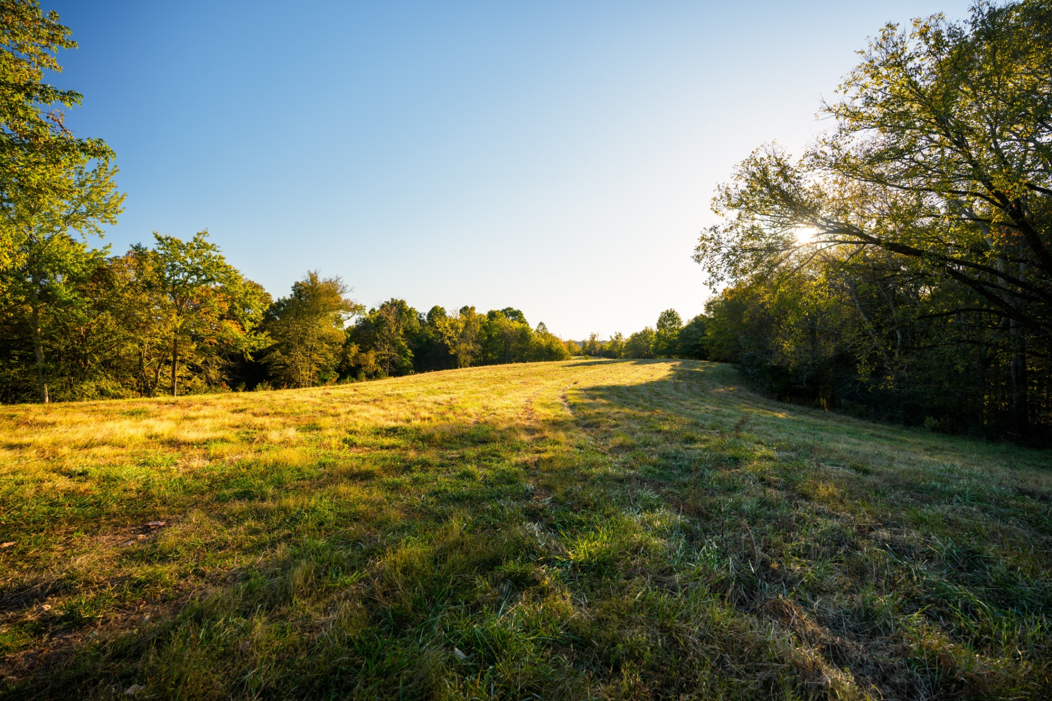 3345 Pigeon Roost Road Pulaski, TN 38478 - Photo 49 of 83 a view of lake view and mountain view