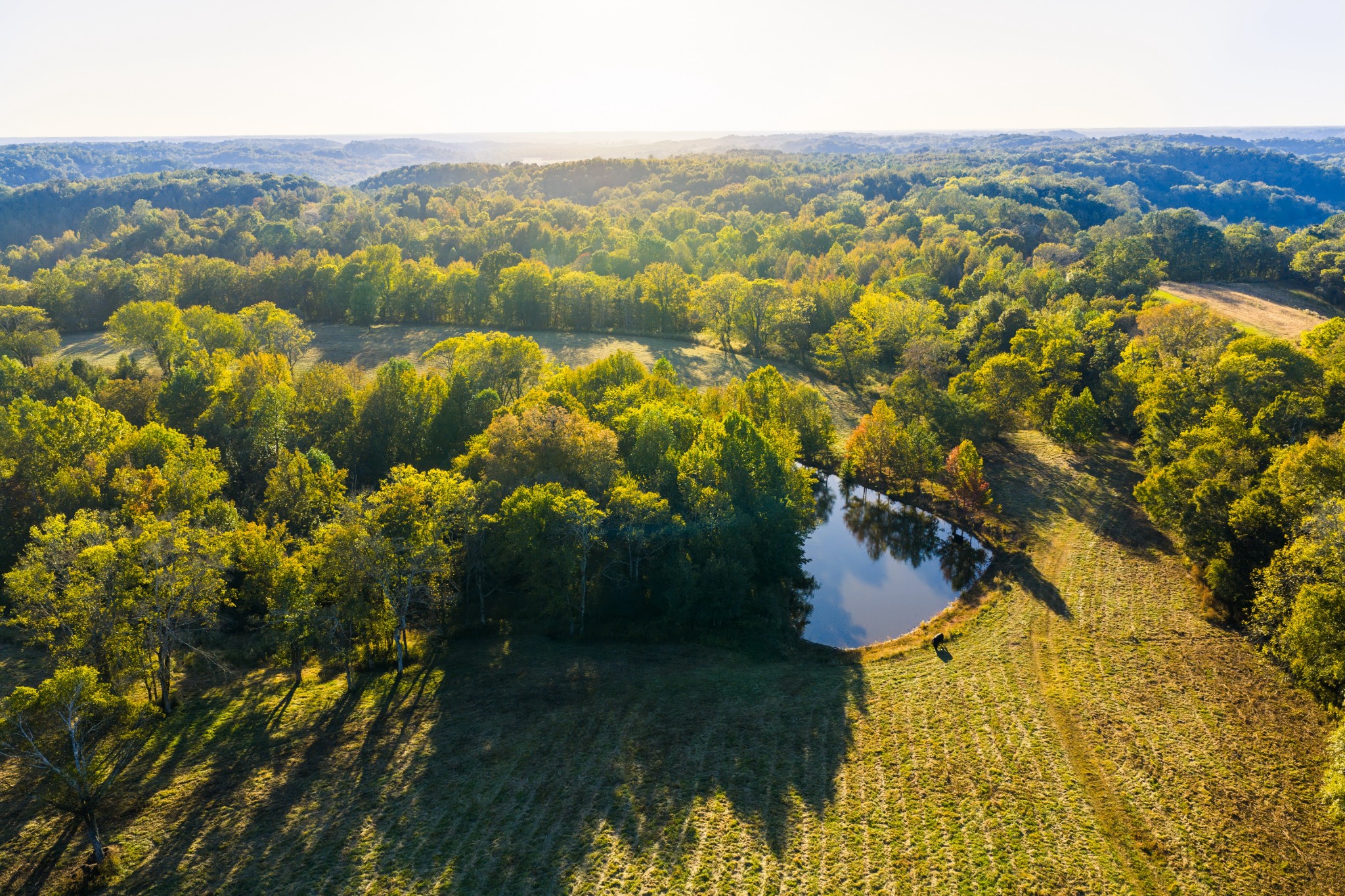 3345 Pigeon Roost Road Pulaski, TN 38478 - Photo 5 of 83 a view of lake