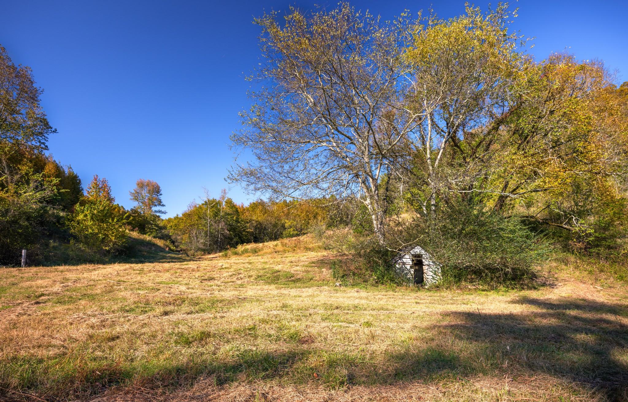 3345 Pigeon Roost Road Pulaski, TN 38478 - Photo 55 of 83