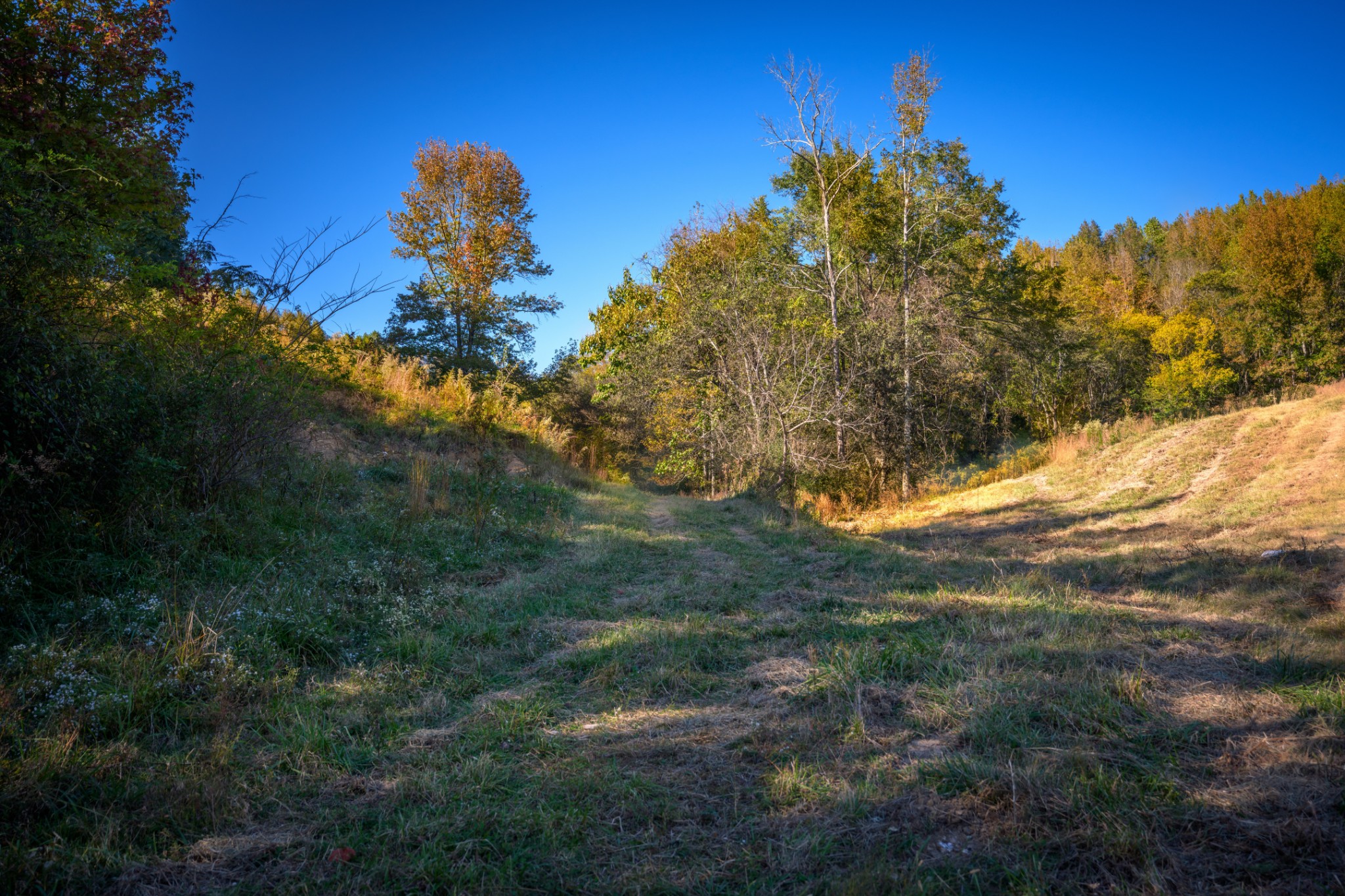 3345 Pigeon Roost Road Pulaski, TN 38478 - Photo 58 of 83 a view of a field