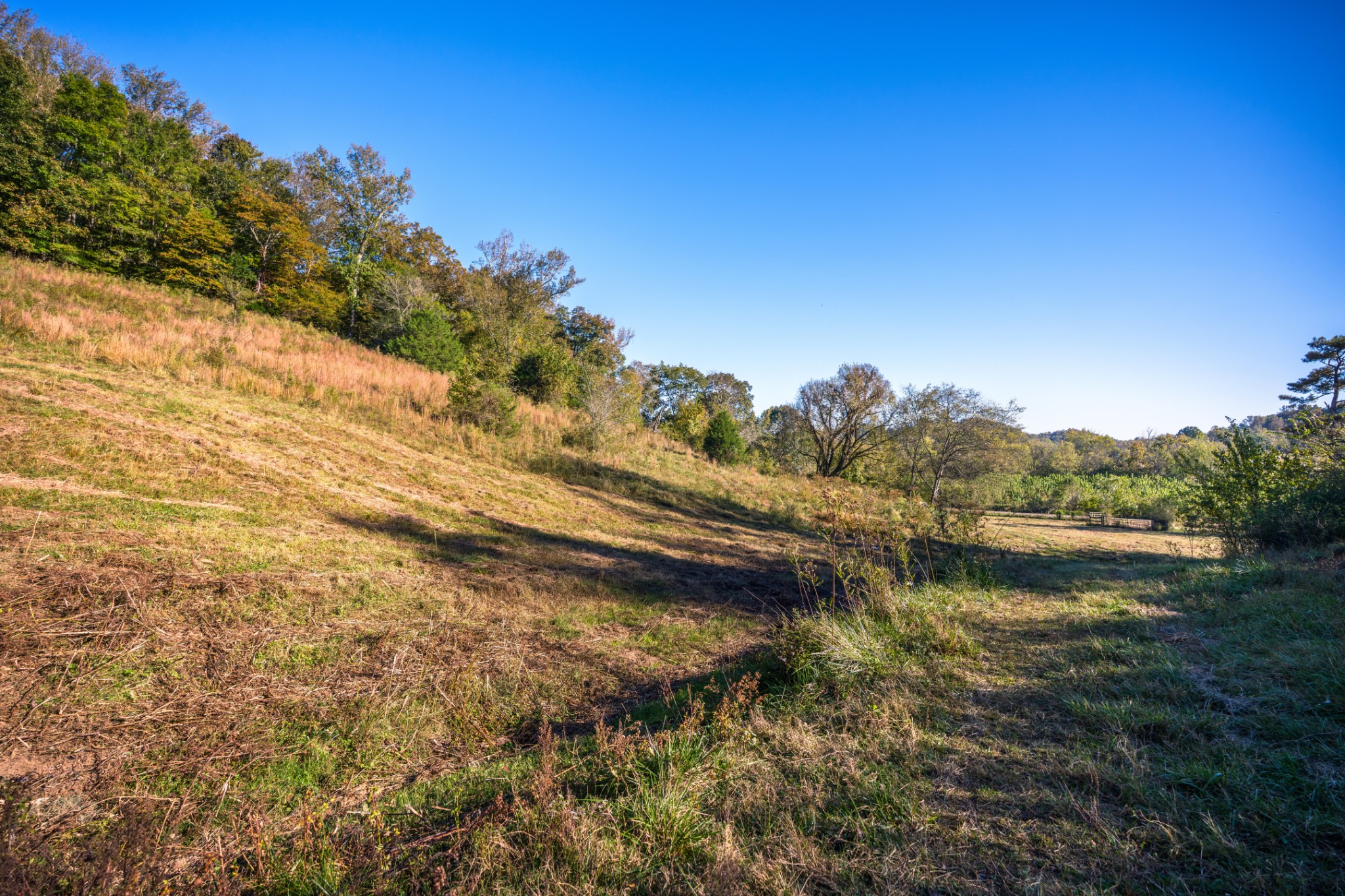 3345 Pigeon Roost Road Pulaski, TN 38478 - Photo 60 of 83