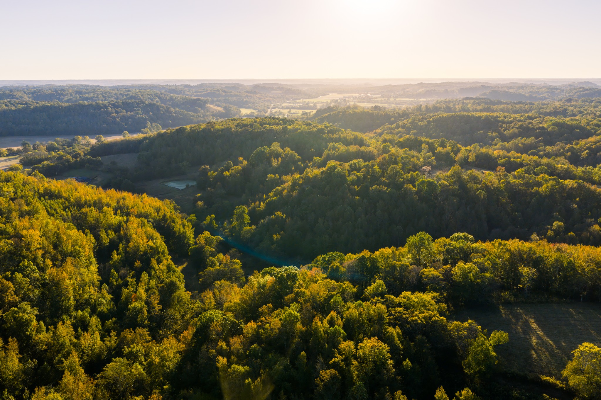 3345 Pigeon Roost Road Pulaski, TN 38478 - Photo 6 of 83 a view of lake
