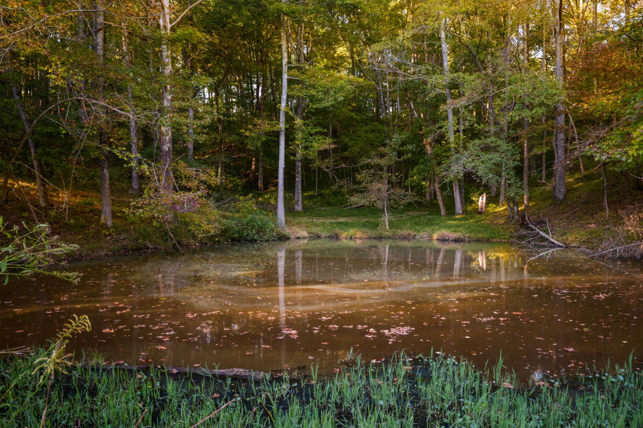 3345 Pigeon Roost Road Pulaski, TN 38478 - Photo 64 of 83 a view of a water fountain in a yard