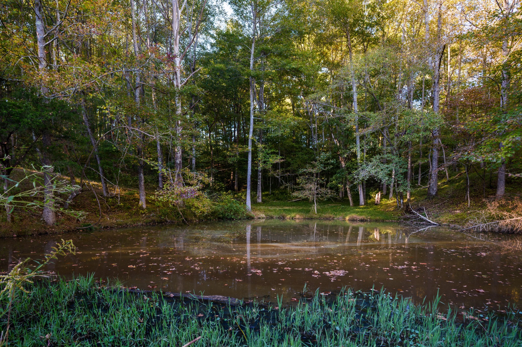 3345 Pigeon Roost Road Pulaski, TN 38478 - Photo 65 of 83 a view of a park
