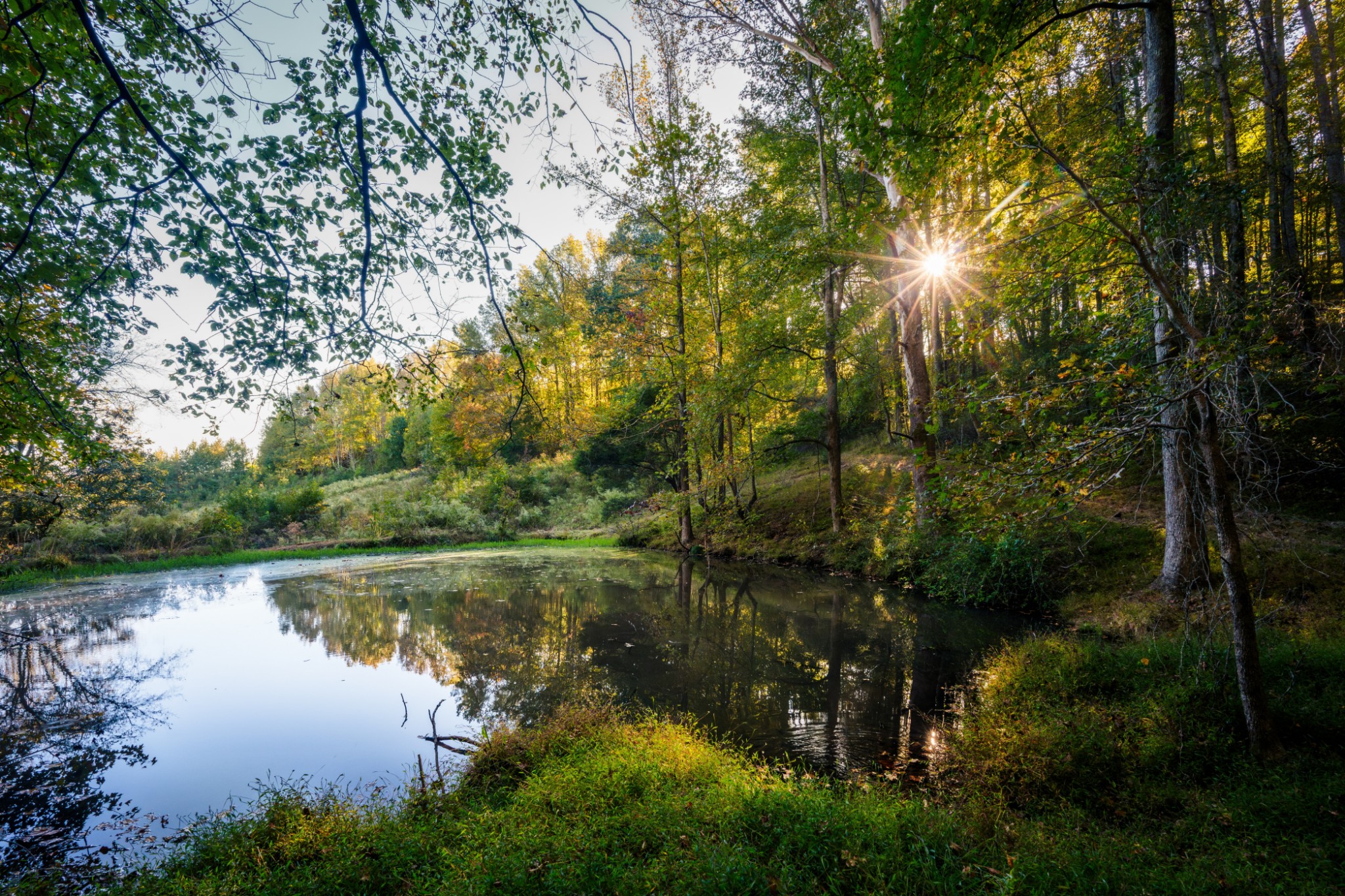 3345 Pigeon Roost Road Pulaski, TN 38478 - Photo 68 of 83 a view of lake