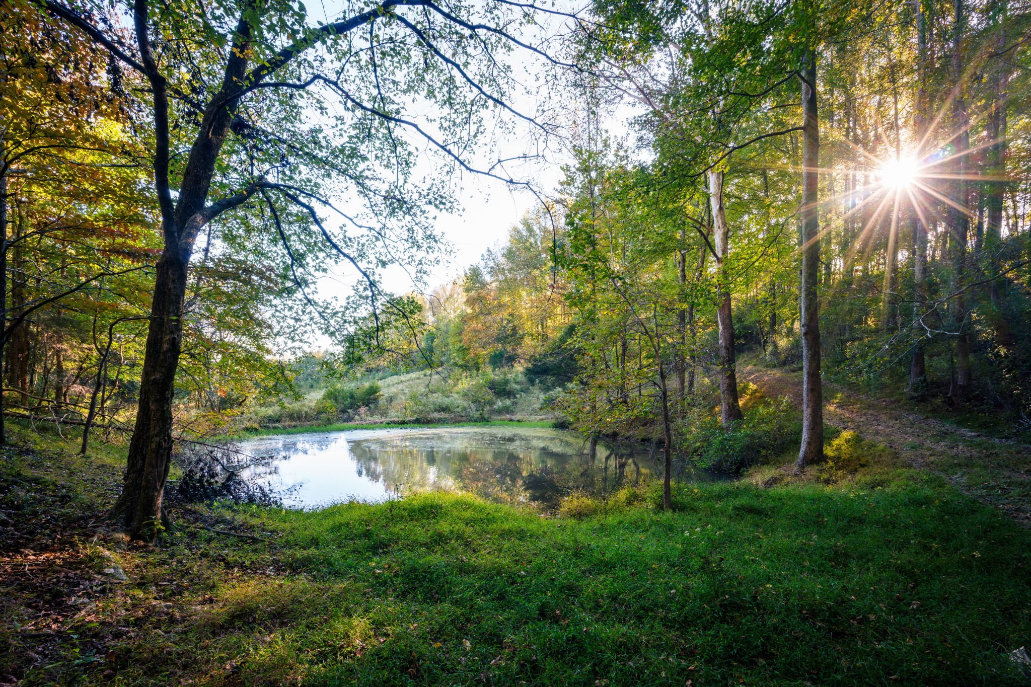 3345 Pigeon Roost Road Pulaski, TN 38478 - Photo 69 of 83 a backyard of a house with lots of green space and outdoor seating