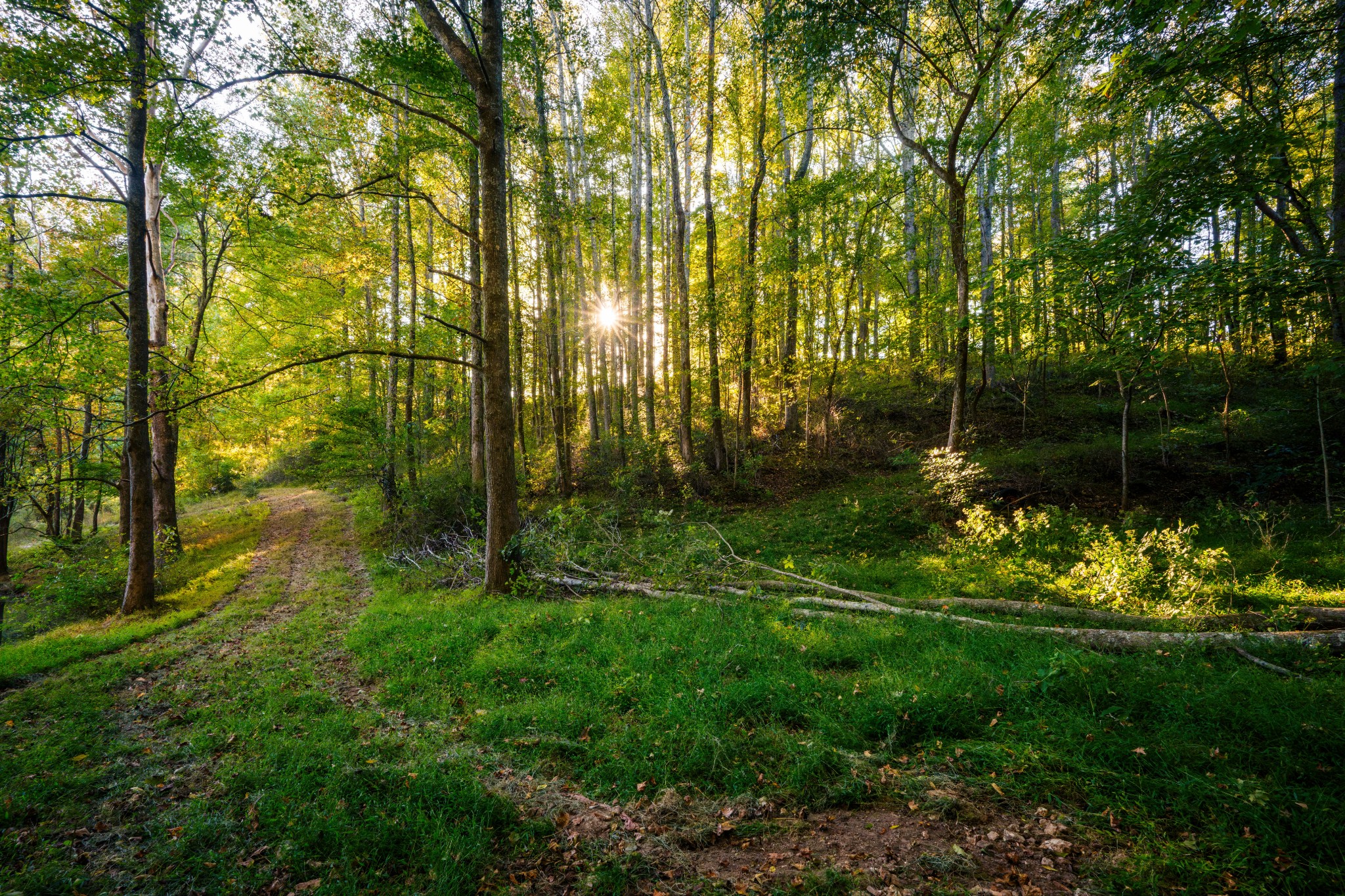 3345 Pigeon Roost Road Pulaski, TN 38478 - Photo 70 of 83