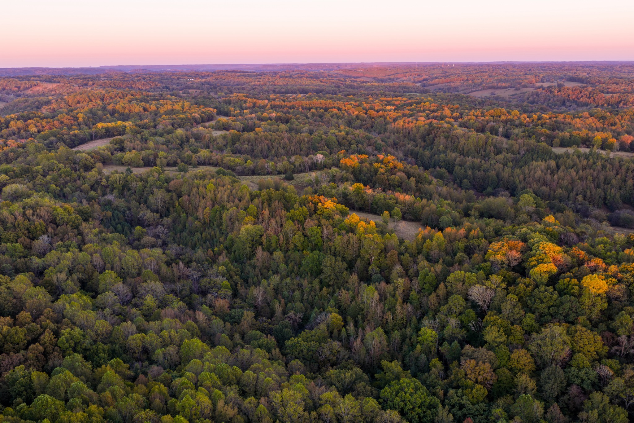 3345 Pigeon Roost Road Pulaski, TN 38478 - Photo 7 of 83 an aerial view of residential houses with outdoor space and trees