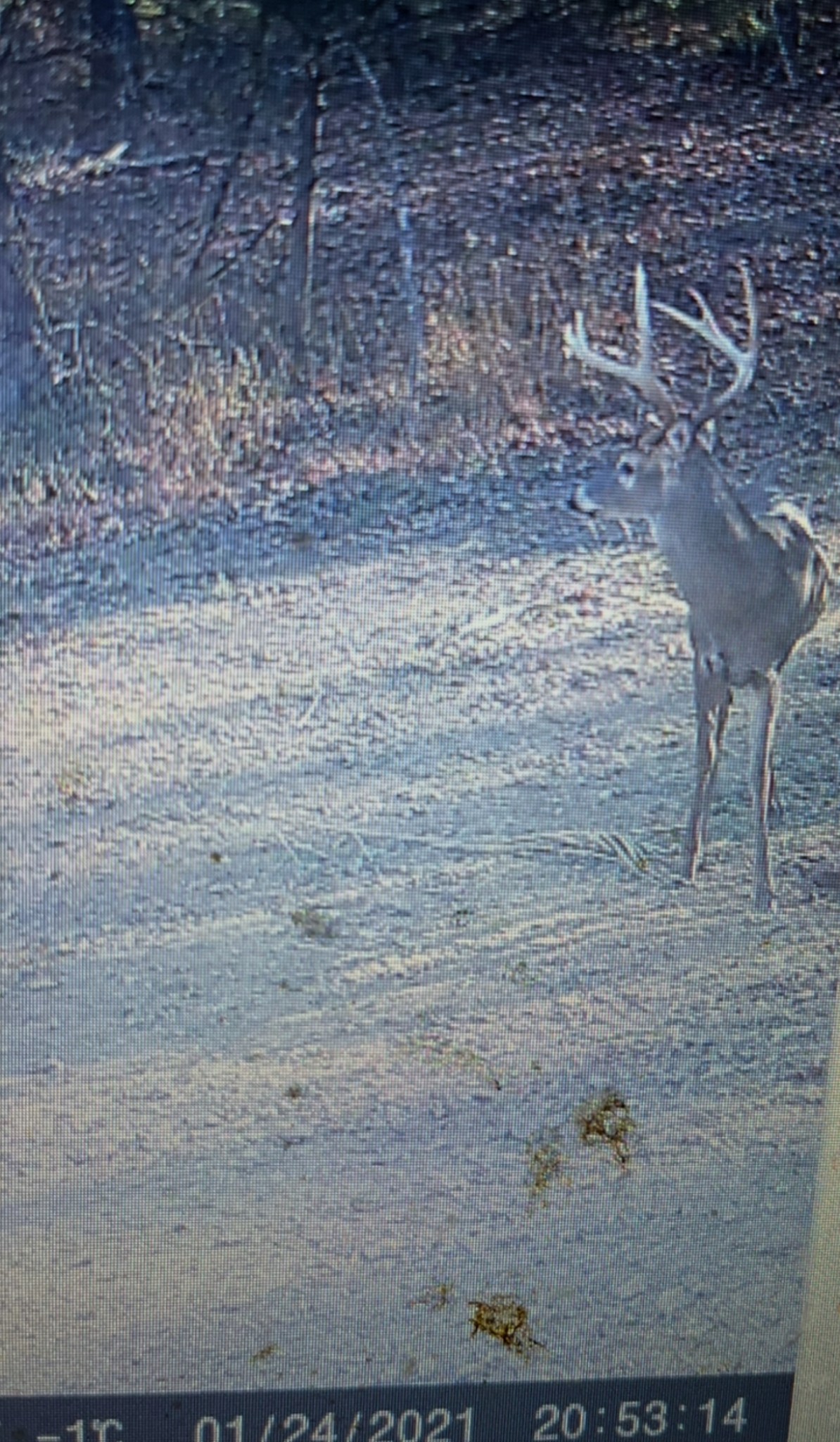 3345 Pigeon Roost Road Pulaski, TN 38478 - Photo 73 of 83 a view of a pathway