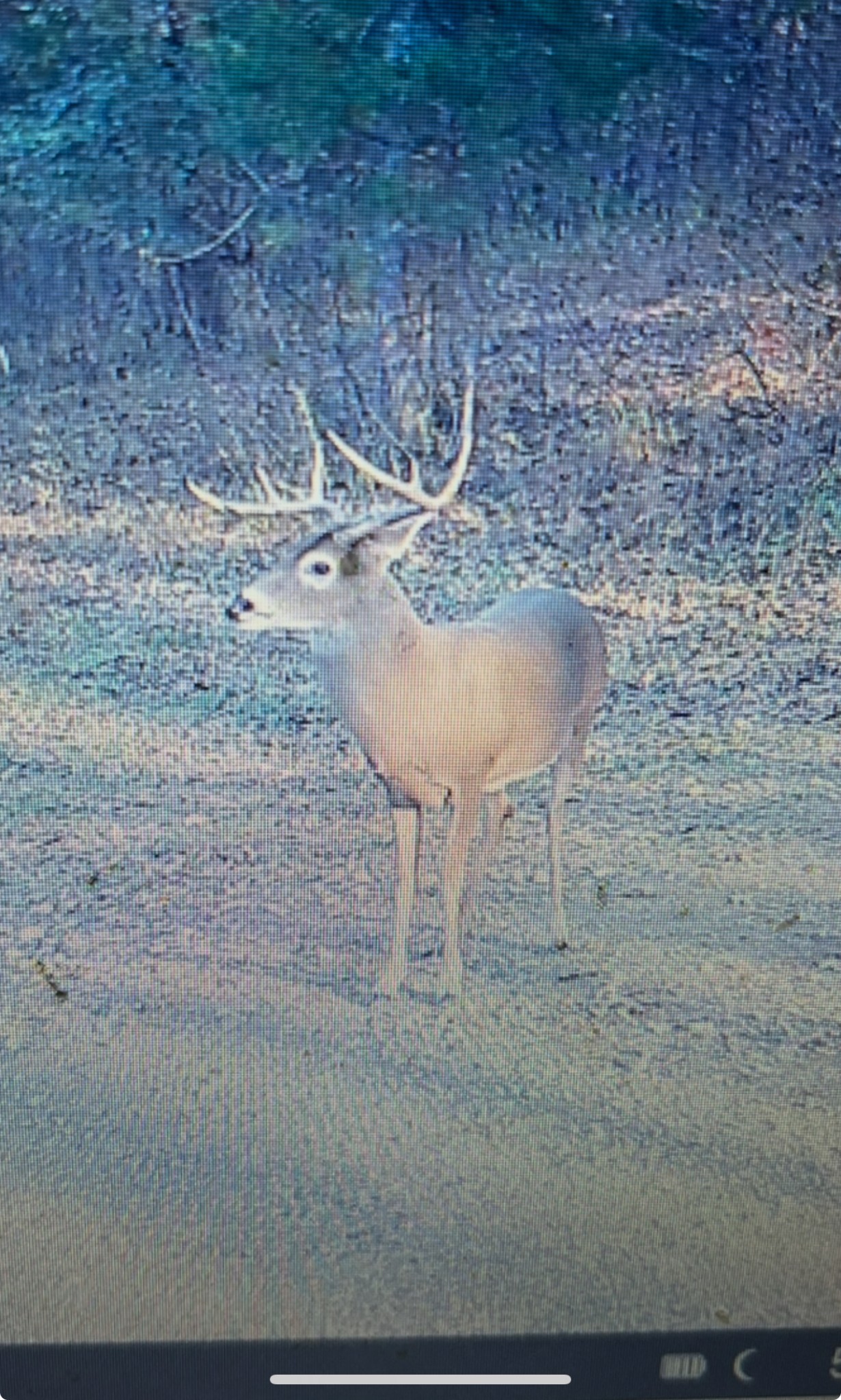 3345 Pigeon Roost Road Pulaski, TN 38478 - Photo 75 of 83
