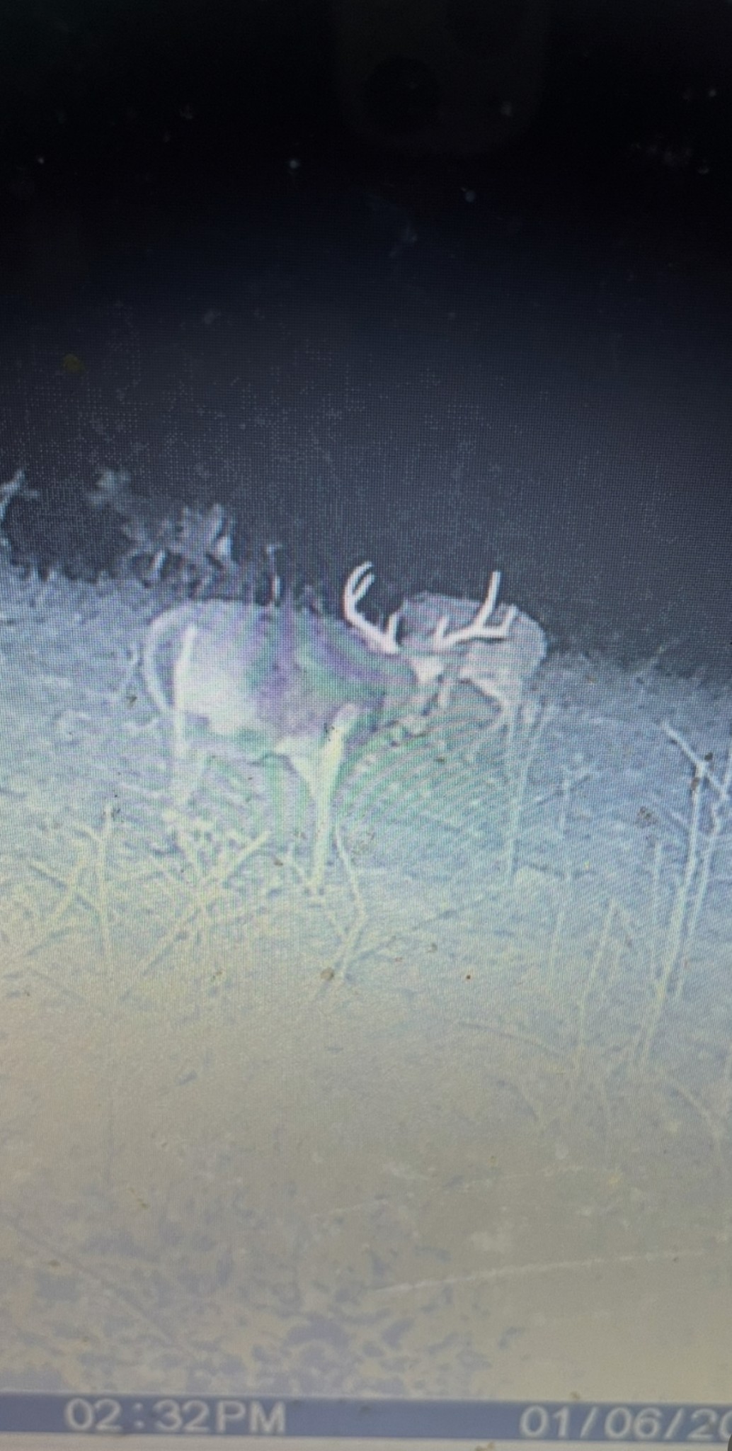 3345 Pigeon Roost Road Pulaski, TN 38478 - Photo 76 of 83