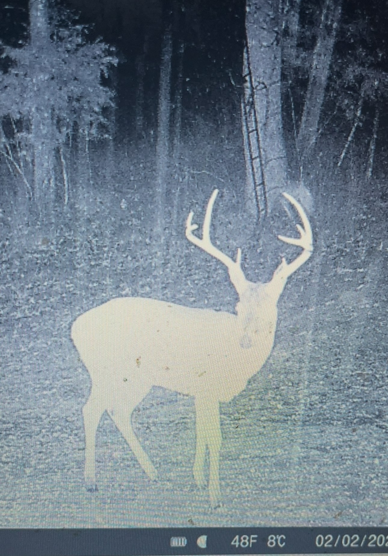 3345 Pigeon Roost Road Pulaski, TN 38478 - Photo 77 of 83