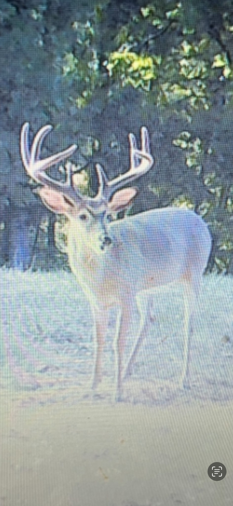 3345 Pigeon Roost Road Pulaski, TN 38478 - Photo 79 of 83