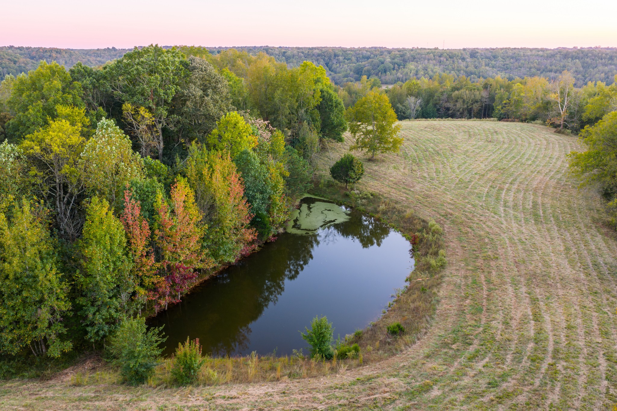 3345 Pigeon Roost Road Pulaski, TN 38478 - Photo 9 of 83