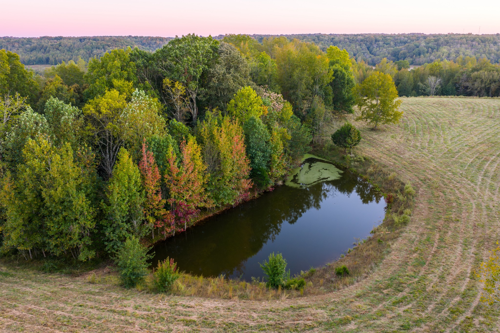 3345 Pigeon Roost Road Pulaski, TN 38478 - Photo 10 of 83 a view of a lake with a mountain in the background