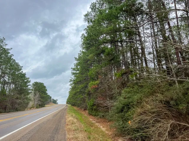 a view of a field with trees in the background