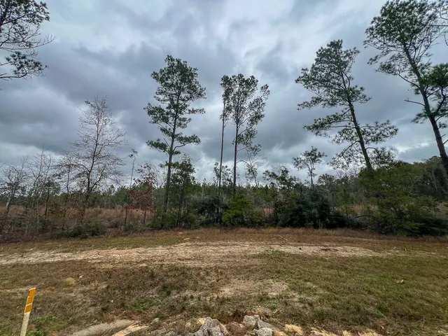 a view of a yard with trees