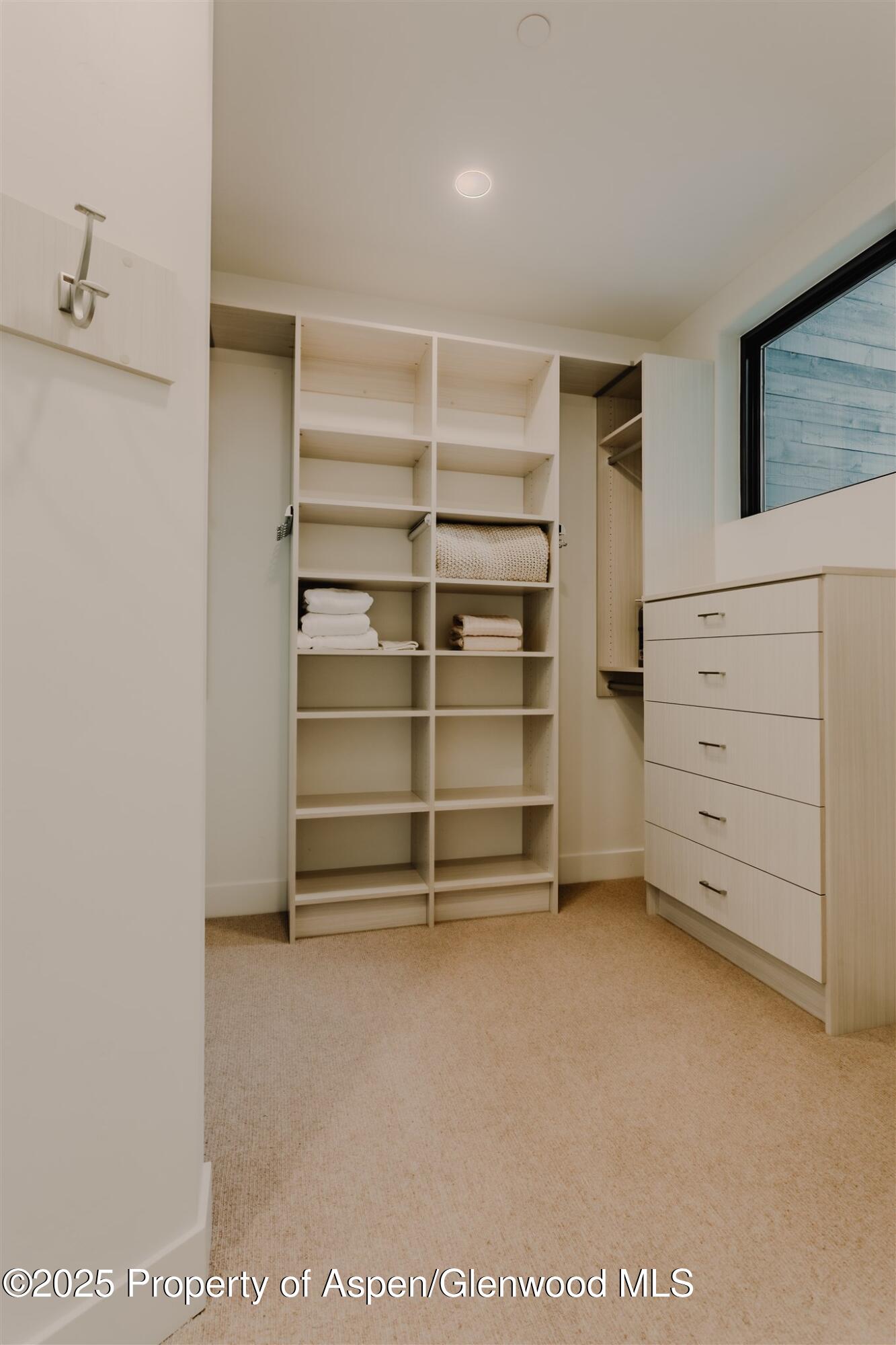 220 Lewis Lane Basalt, CO 81621 - Photo 35 of 62 a view of an empty walk in closet
