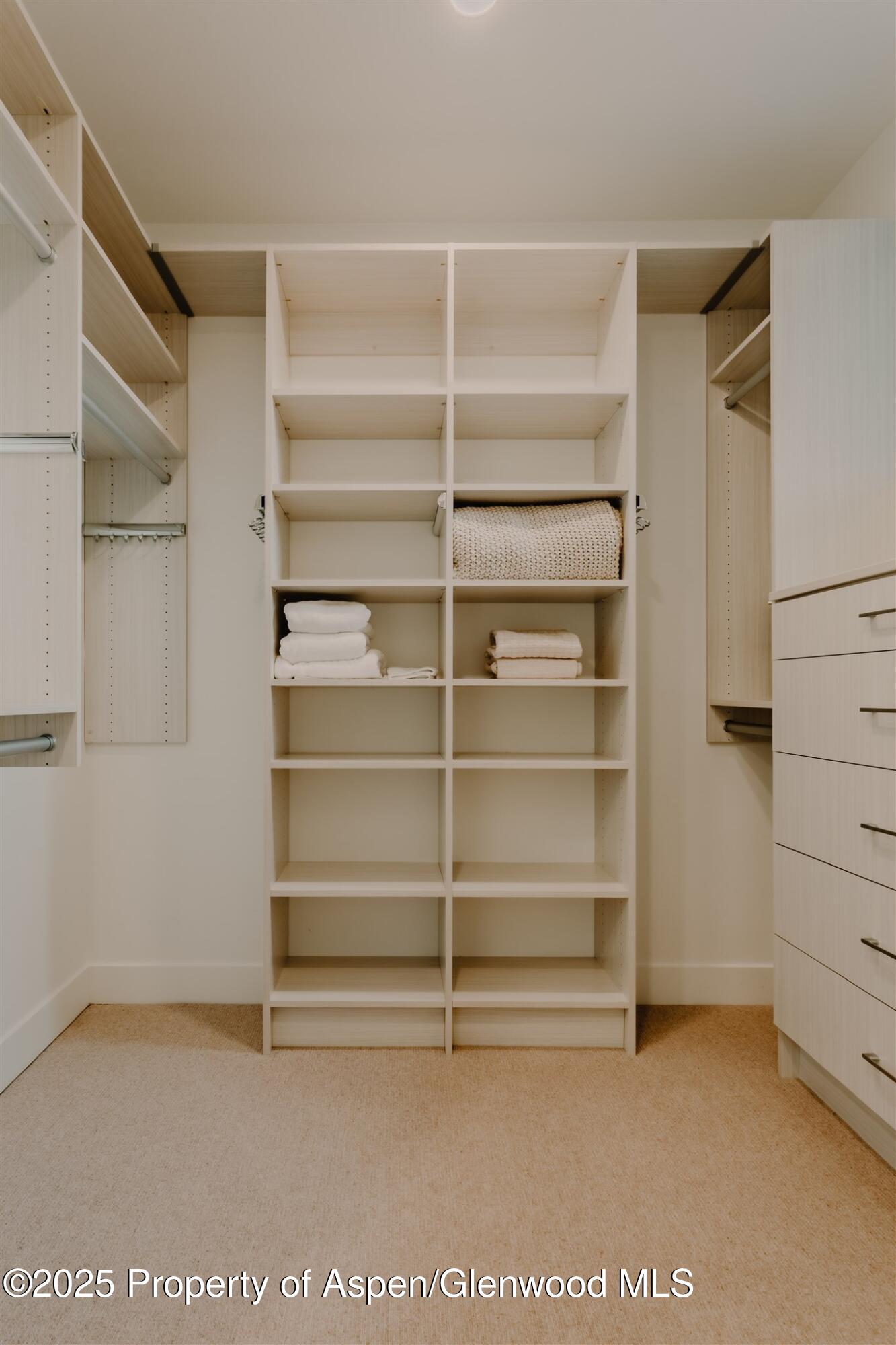 220 Lewis Lane Basalt, CO 81621 - Photo 37 of 62 a view of an empty walk in closet