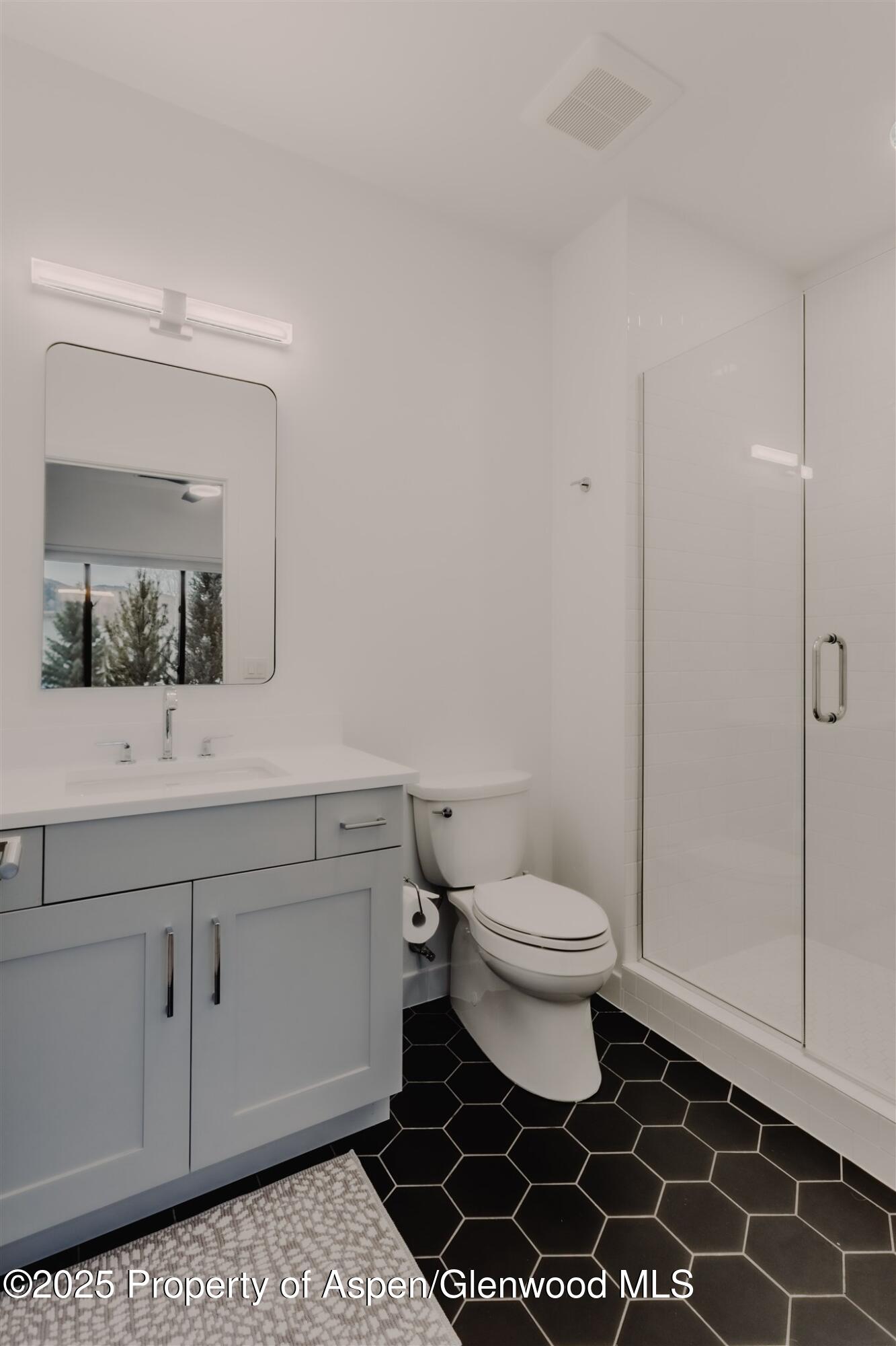 220 Lewis Lane Basalt, CO 81621 - Photo 45 of 62 a bathroom with a toilet a sink and a mirror