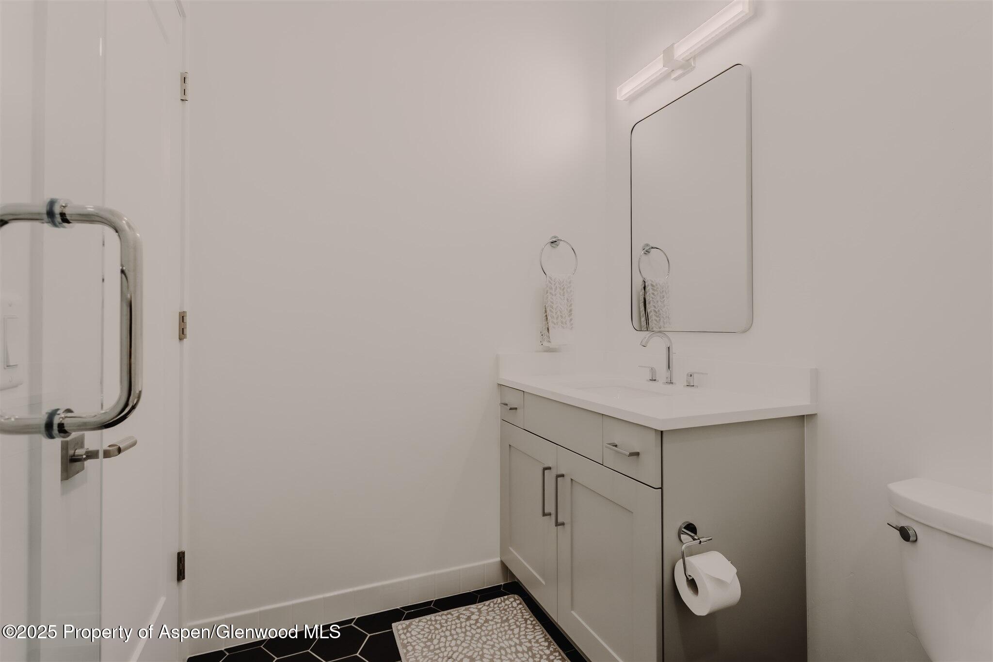 220 Lewis Lane Basalt, CO 81621 - Photo 46 of 62 a bathroom with a sink a toilet and shower