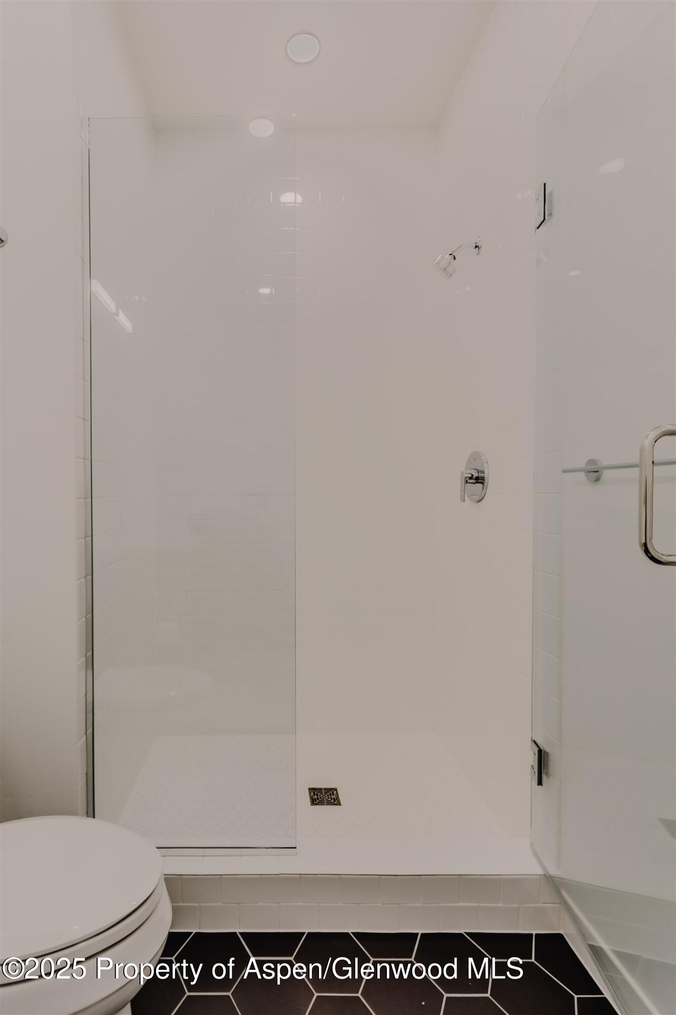 220 Lewis Lane Basalt, CO 81621 - Photo 47 of 62 a bathroom with a shower