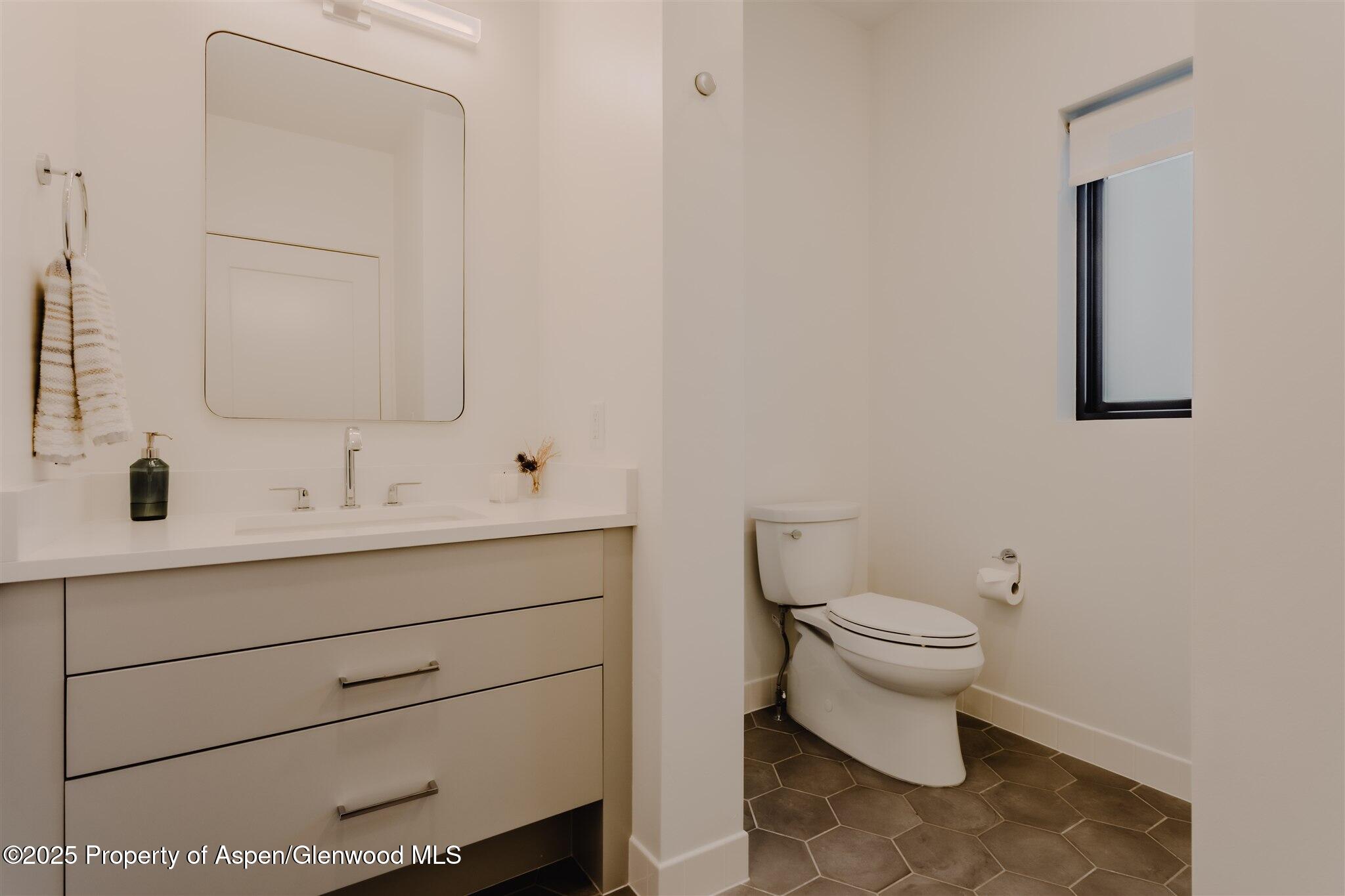 220 Lewis Lane Basalt, CO 81621 - Photo 51 of 62 a bathroom with a toilet sink a mirror and vanity