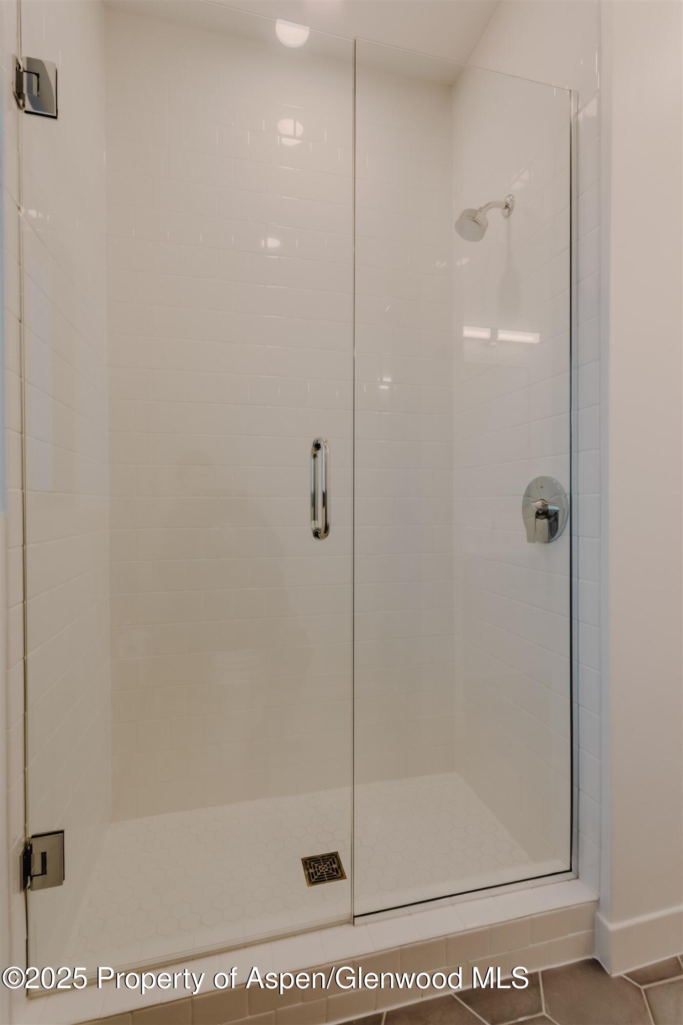 220 Lewis Lane Basalt, CO 81621 - Photo 52 of 62 a bathroom with a shower