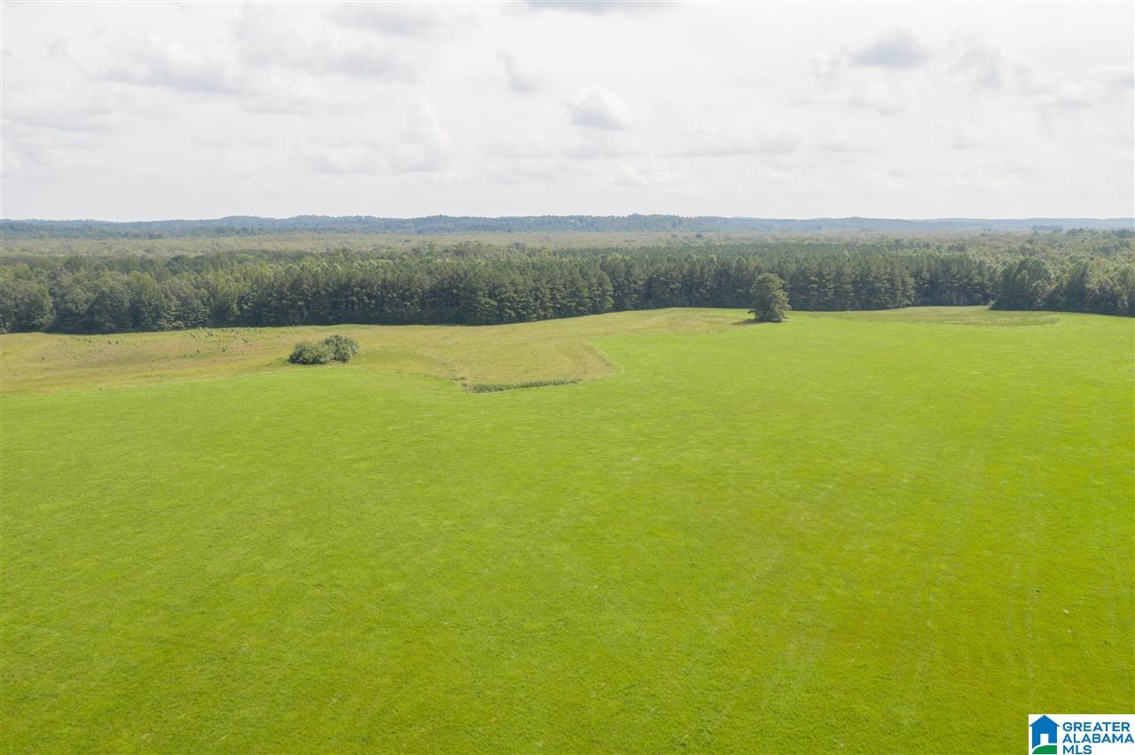 205 County Road 3 Reform, AL 35481 - Photo 12 of 46