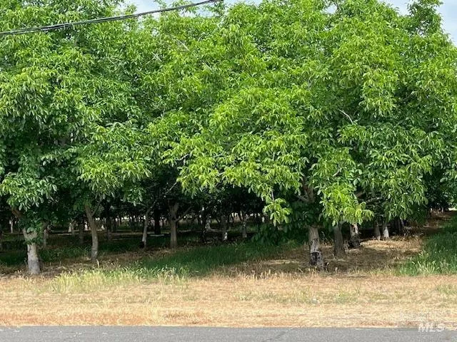 a view of a lake view