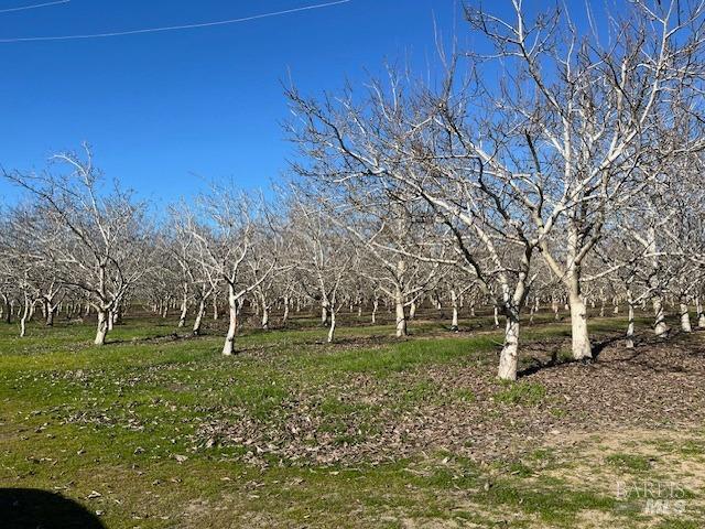 0 Winters Road Winters, CA 95694 - Photo 2 of 7 a backyard of a house with lots of green space