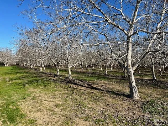 a view of backyard with green space