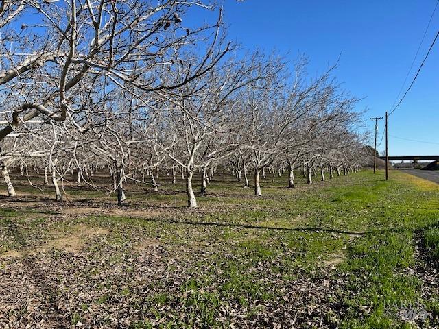 0 Winters Road Winters, CA 95694 - Photo 4 of 7 a view of a outdoor space