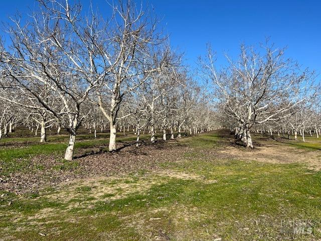 0 Winters Road Winters, CA 95694 - Photo 5 of 7 a backyard of a house with lots of green space