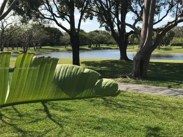 a green field with lots of trees in it