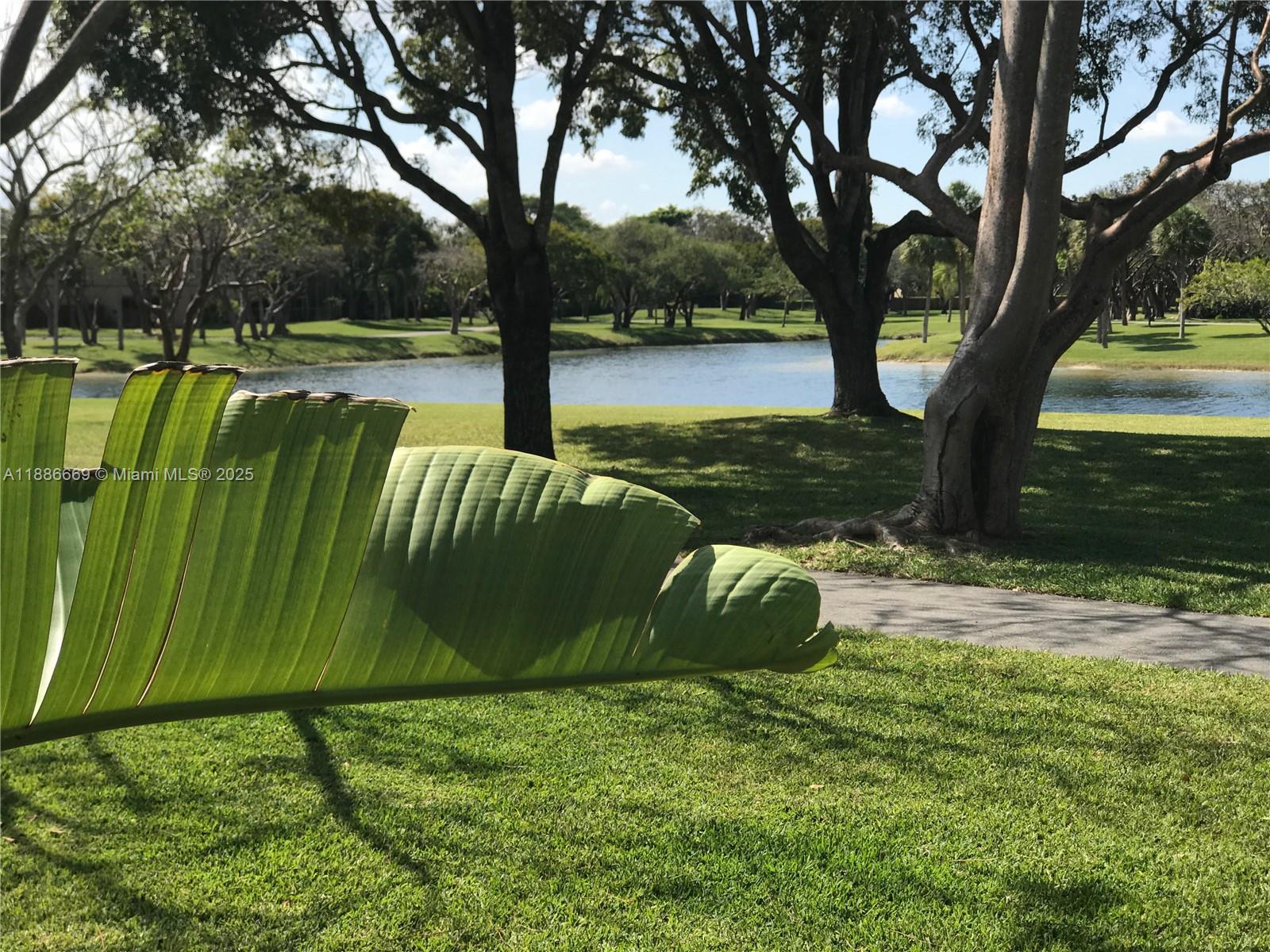11126 Southwest 148th Place Miami, FL 33196 - Photo 33 of 33 a green field with lots of trees in it