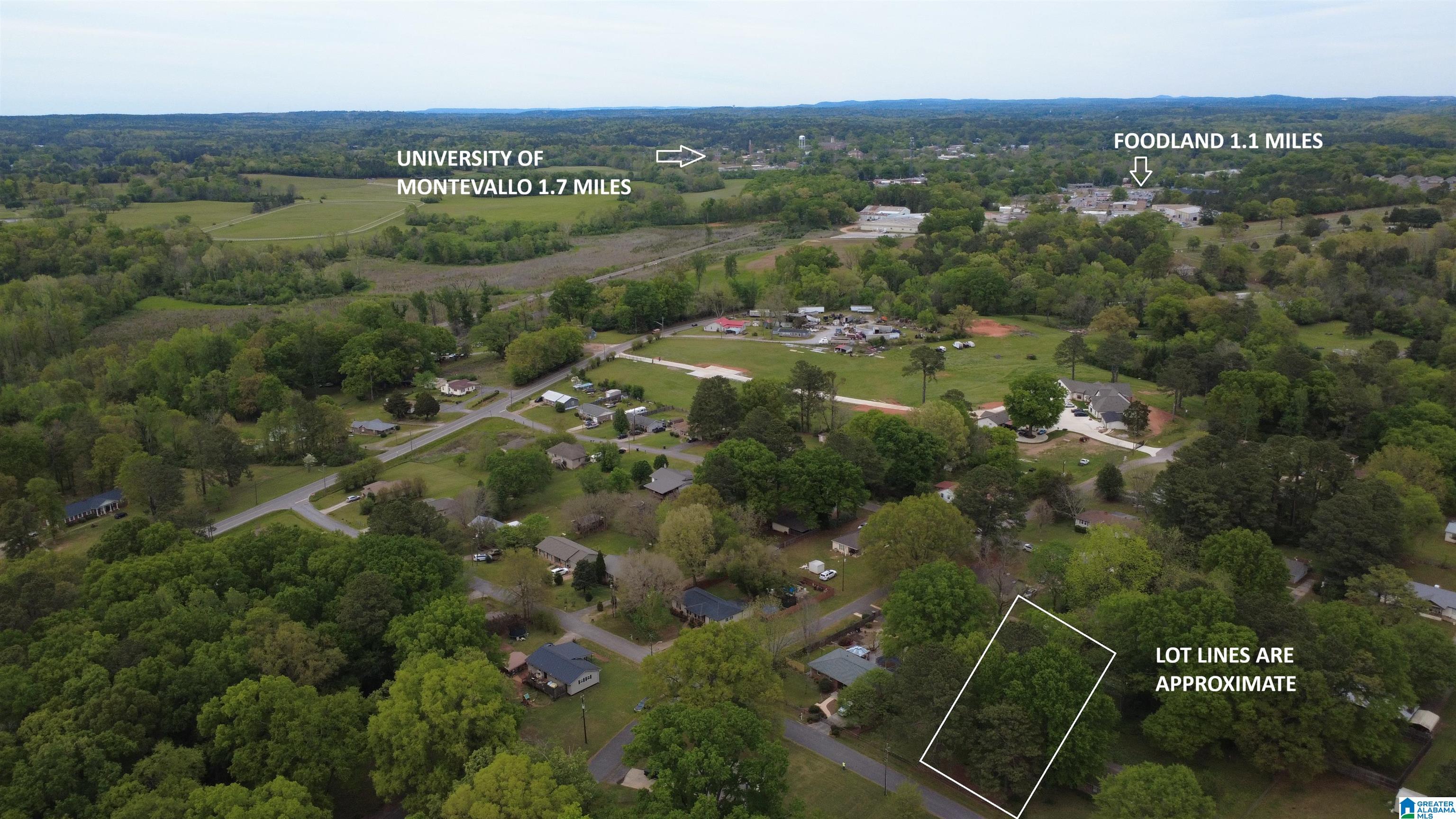 0 Strother Street Montevallo, AL 35115 - Photo 3 of 25