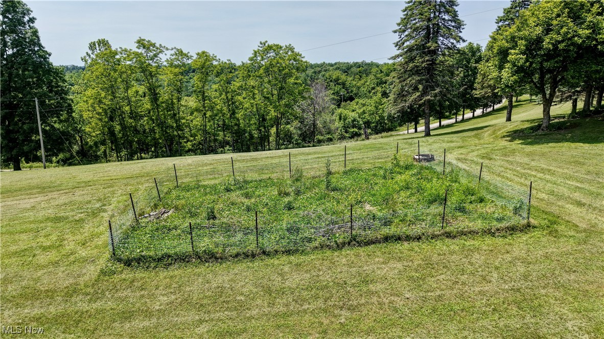 48846 Cain Ridge Road Clarington, OH 43915 - Photo 33 of 45 View of yard with a garden and a view of rural / pastoral area