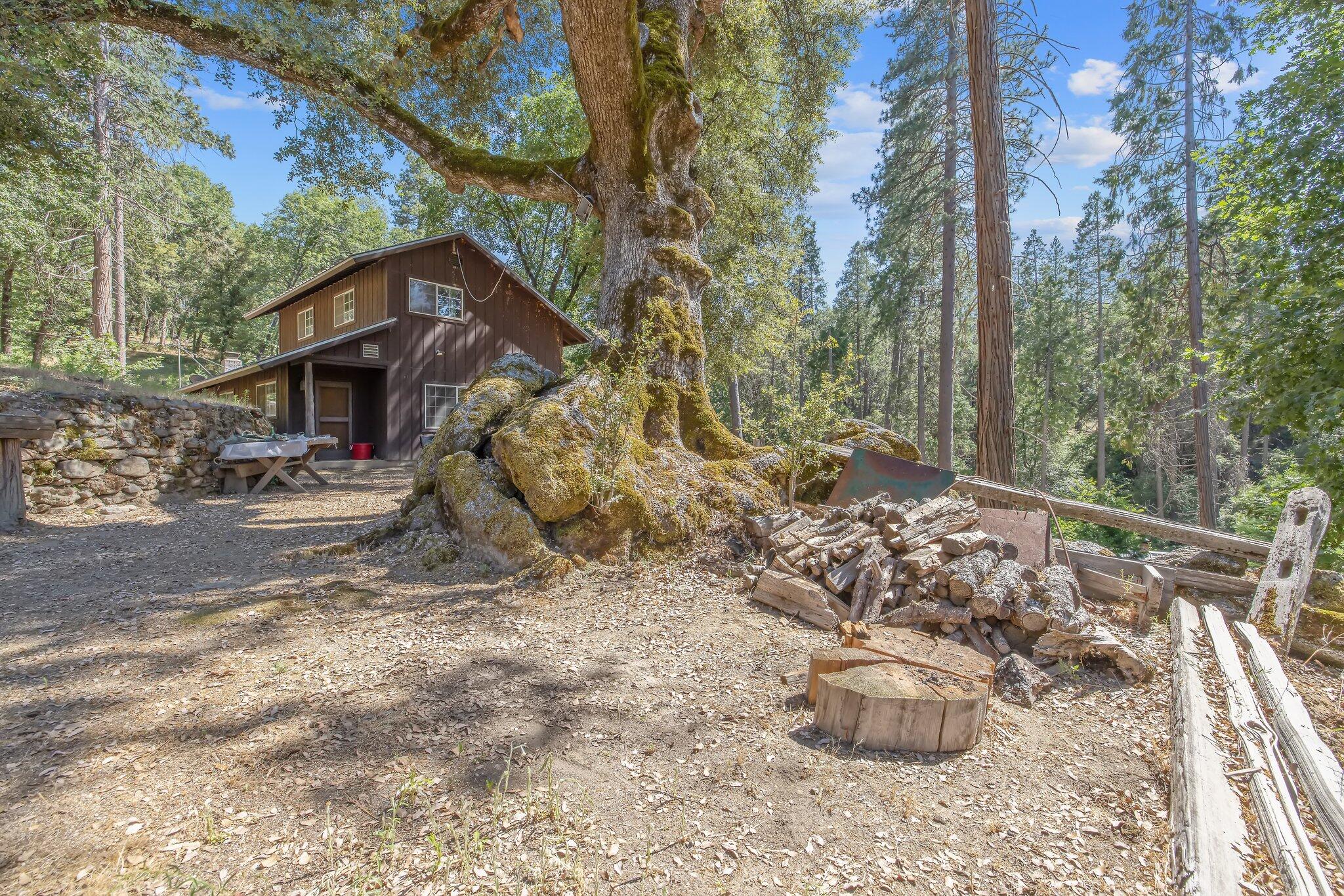 48675 Todd Eymann Road Miramonte, CA 93641 - Photo 49 of 103 48-web-or-mls-713A7235