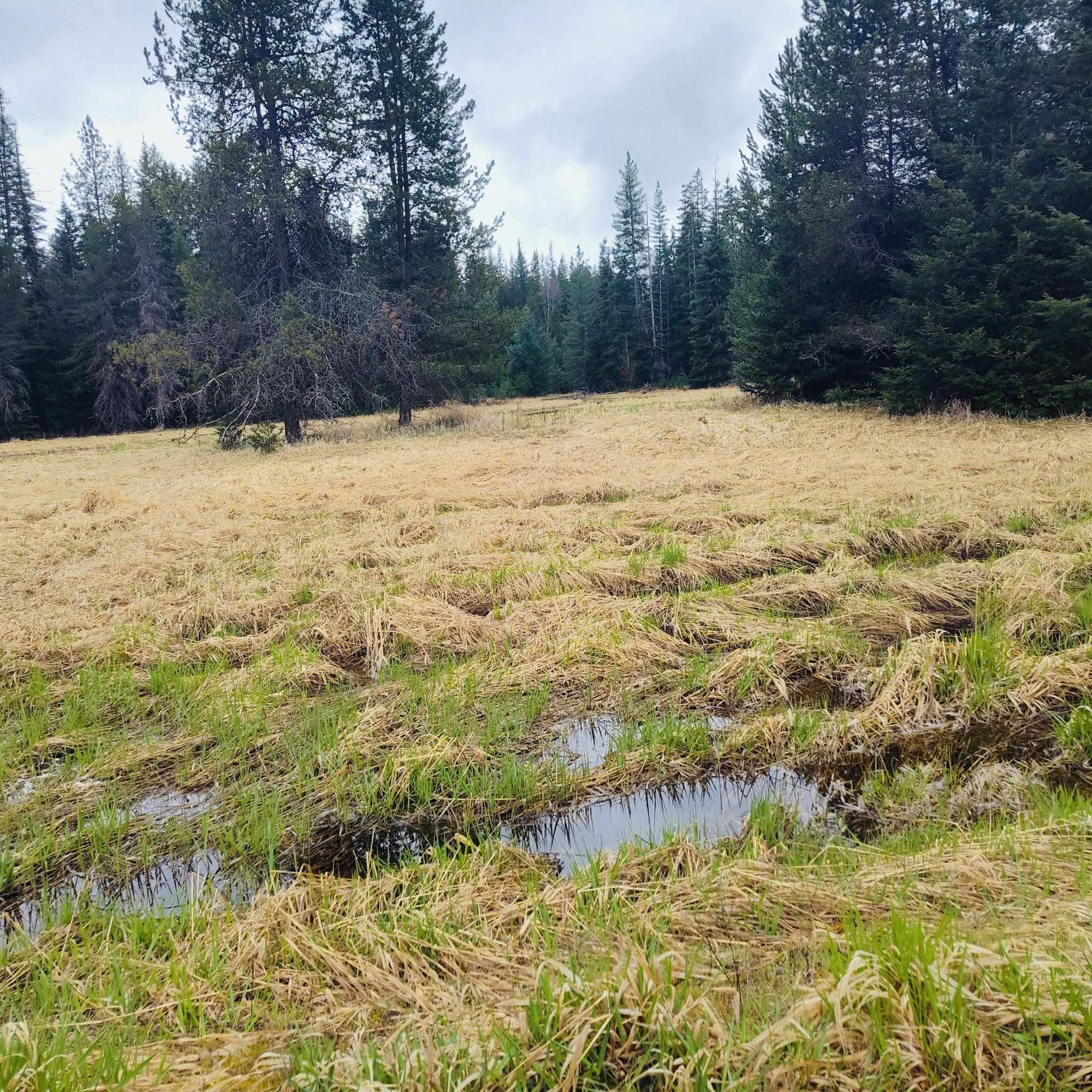 1101 Larch Lane Cusick, WA 99119 - Photo 1 of 12