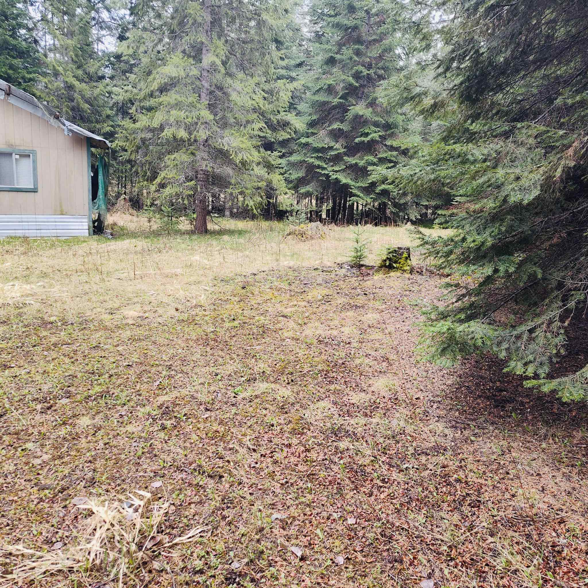 1101 Larch Lane Cusick, WA 99119 - Photo 2 of 12