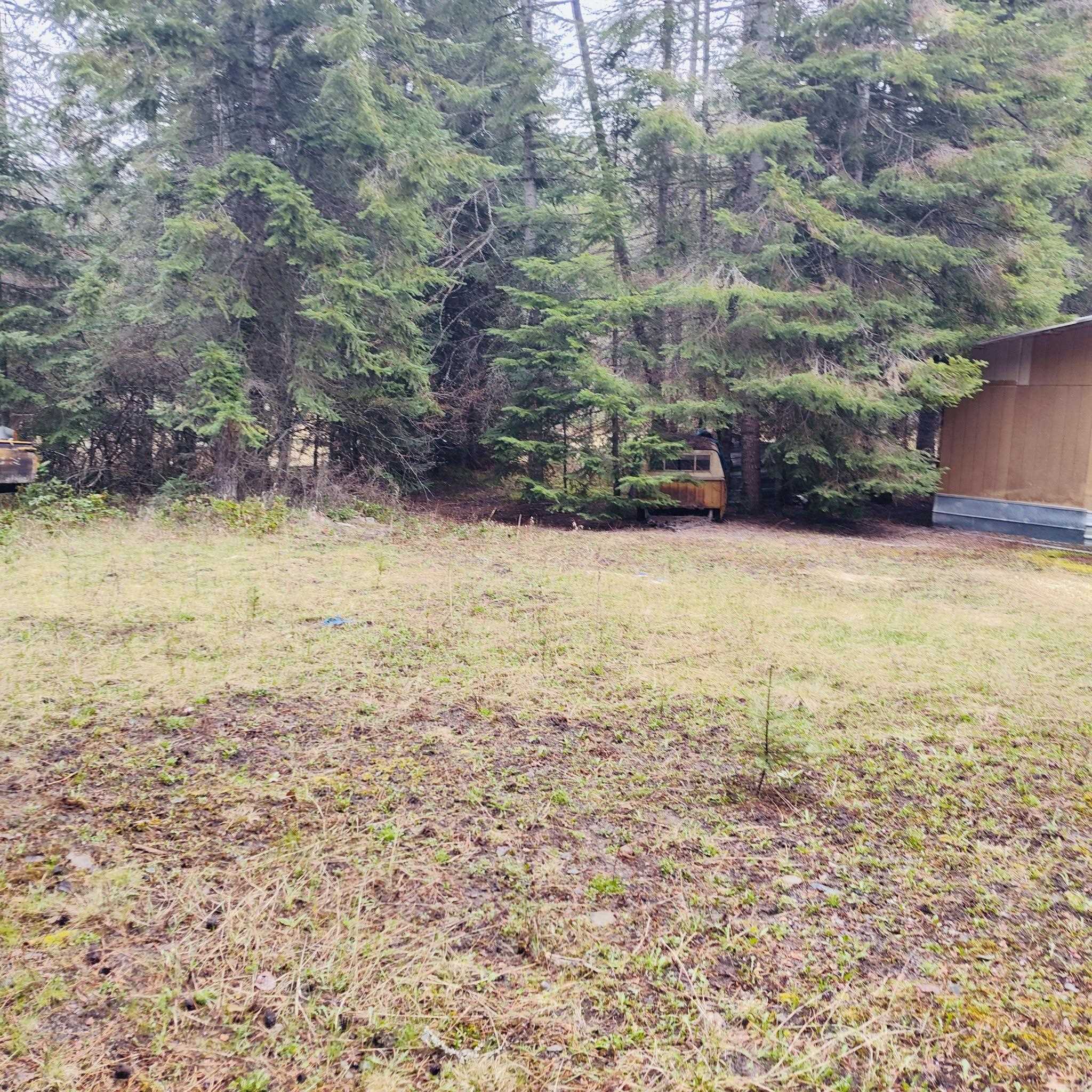 1101 Larch Lane Cusick, WA 99119 - Photo 6 of 12