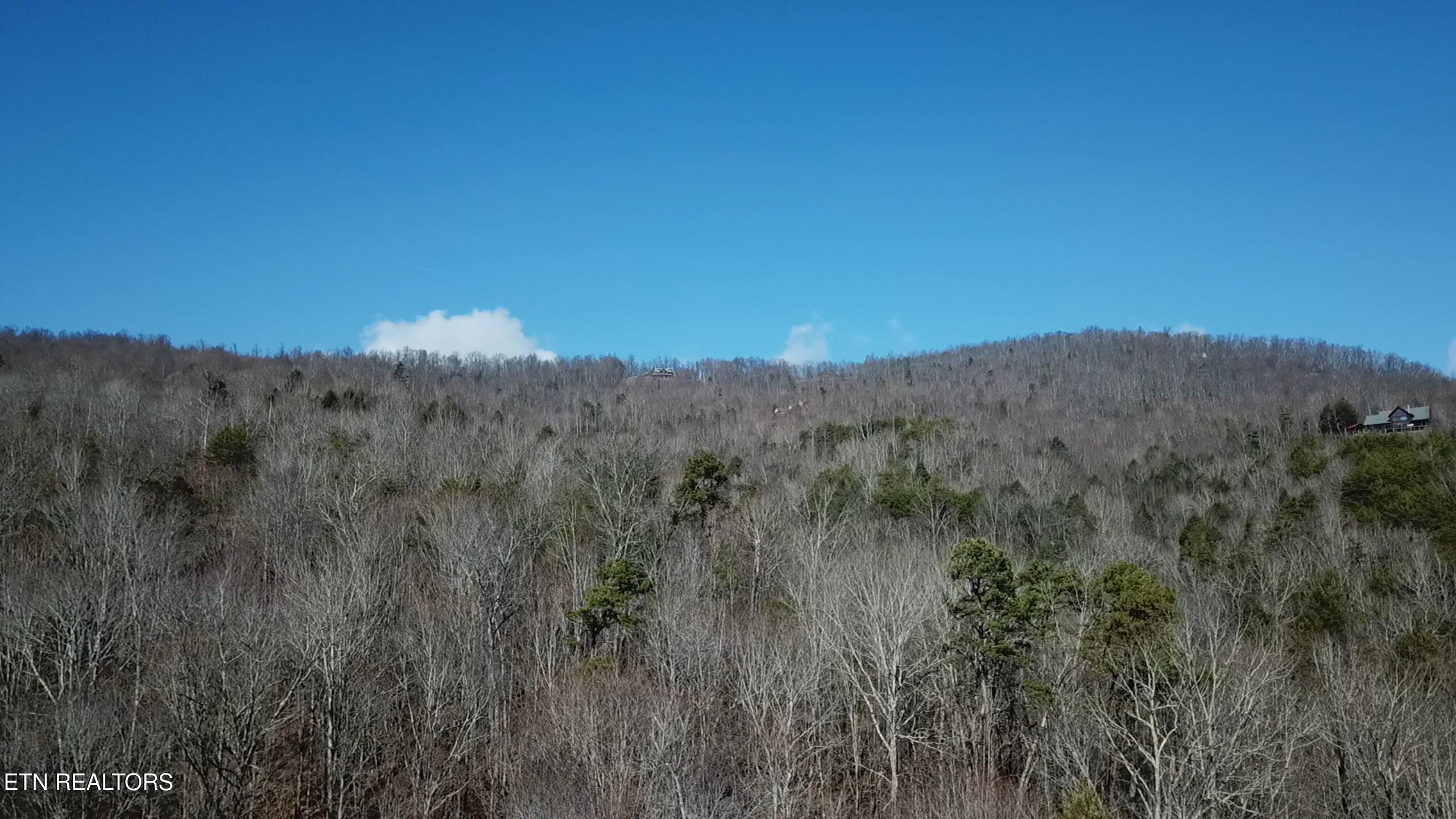 142 Whistle Valley Road New Tazewell, TN 37825 - Photo 11 of 24 2026-01-08 105307