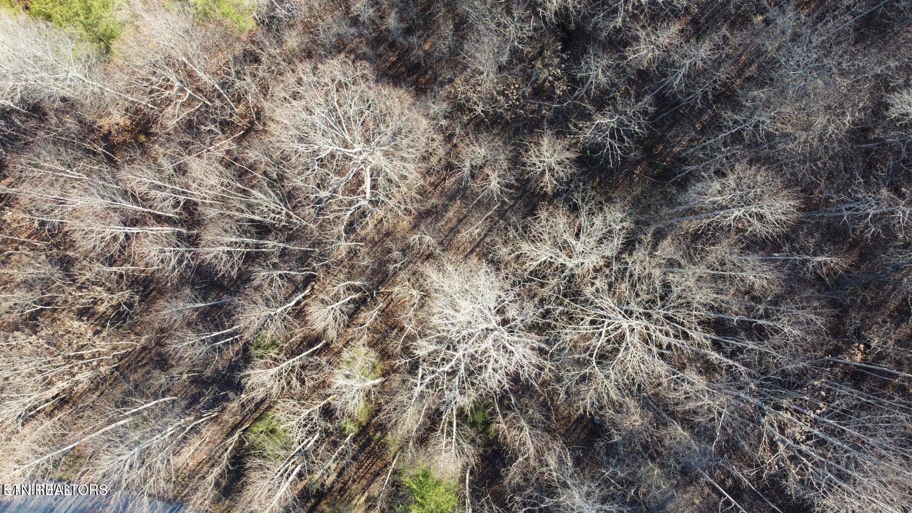 142 Whistle Valley Road New Tazewell, TN 37825 - Photo 14 of 24 20230322210944859998000000-o