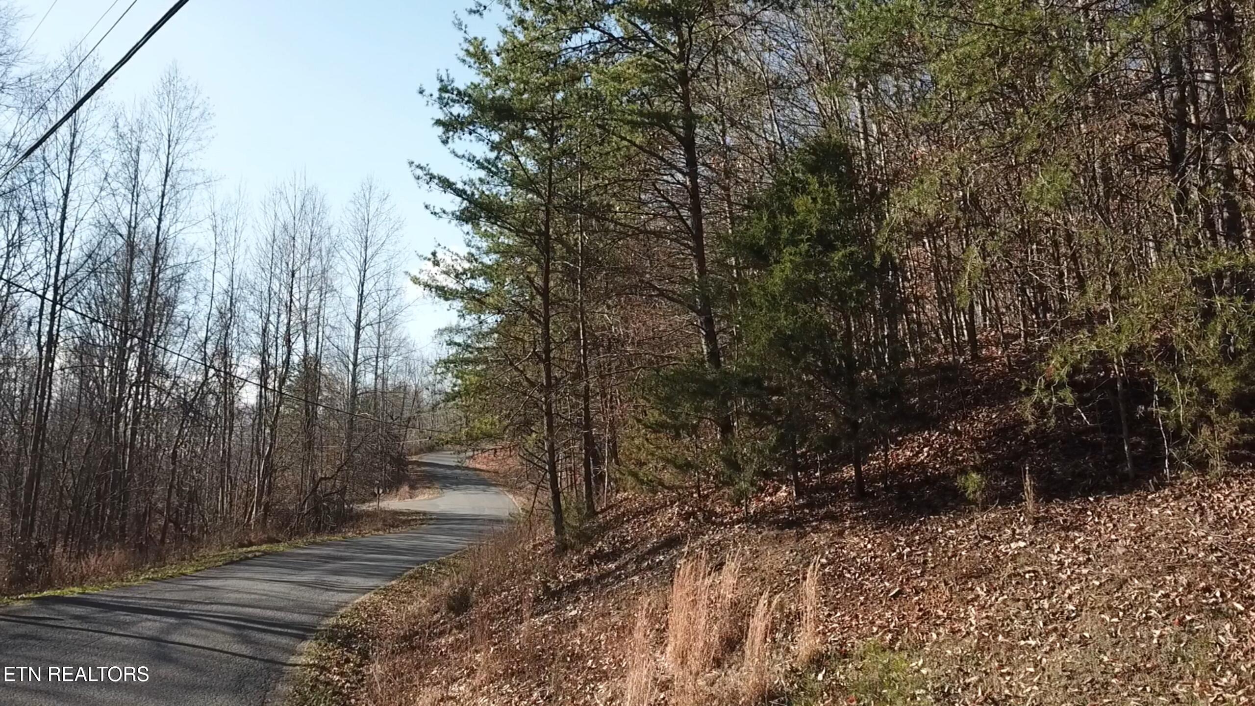 142 Whistle Valley Road New Tazewell, TN 37825 - Photo 7 of 24 2026-01-08 105039