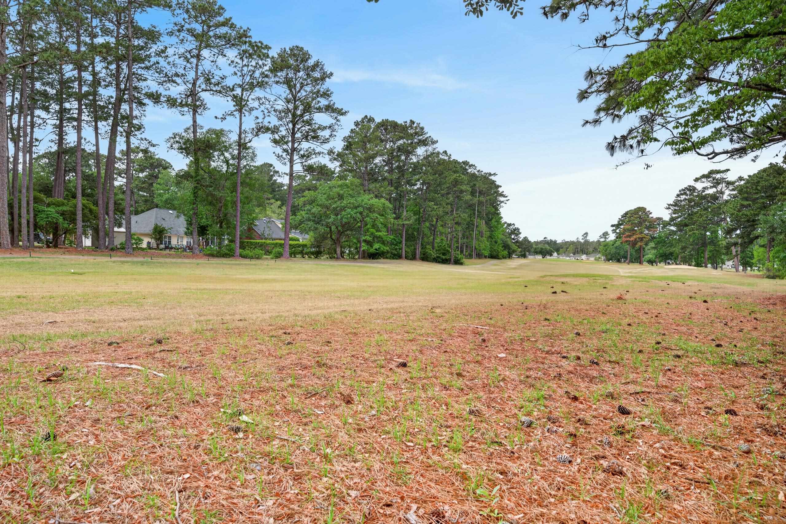 113 Captain Anthony White Lane Georgetown, SC 29440 - Photo 36 of 46