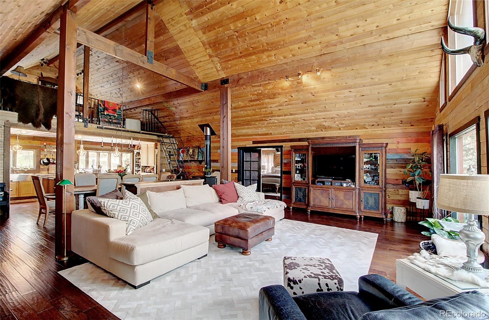 135 Nova Drive Pine, CO 80470 - Photo 5 of 38 a living room with furniture and a flat screen tv